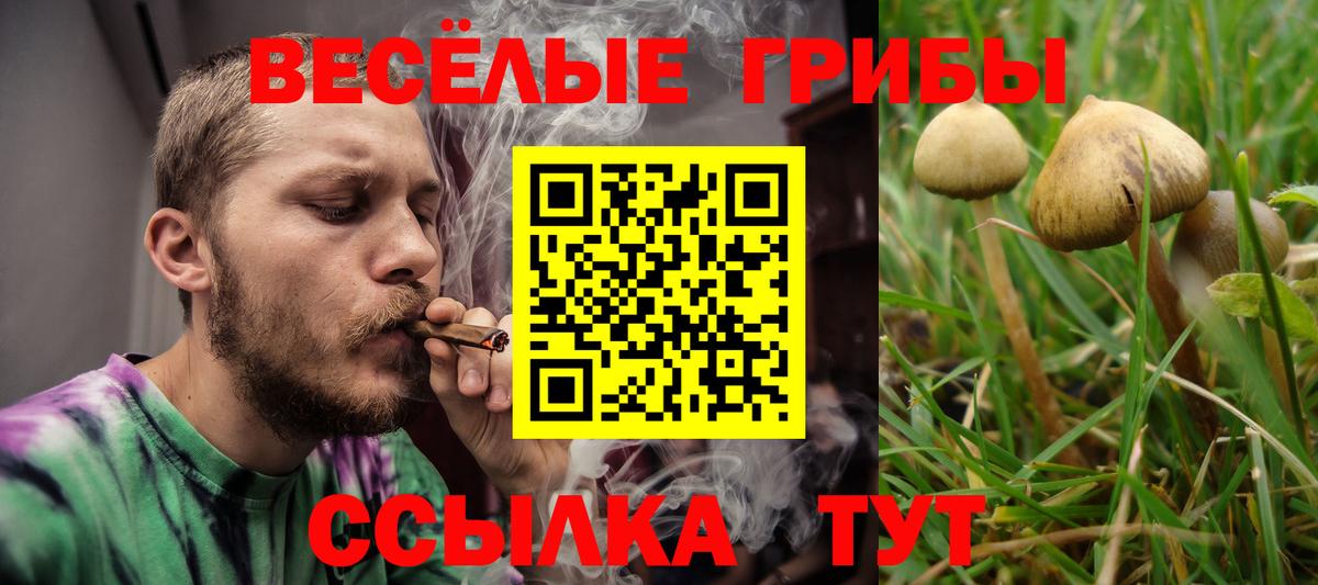 Галлюциногенные грибы Magic Shrooms  Вход с VPN  купить наркотик  Будённовск 